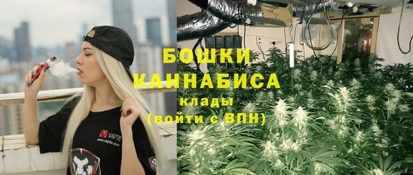мет Белокуриха