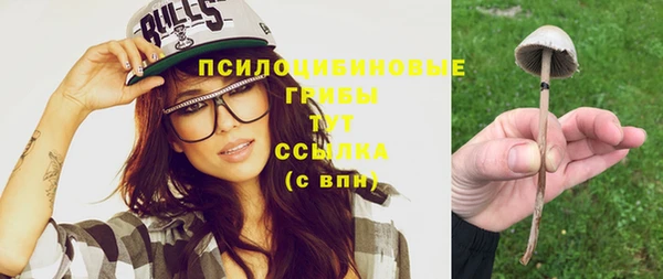 мет Белокуриха