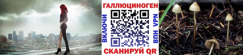 купить Новоульяновск Галлюциногенные грибы Cubensis